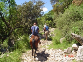 Rutas a caballo guiadas